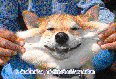 smile2.gif