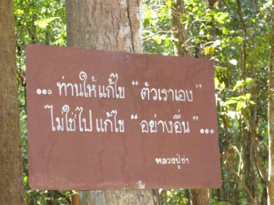 P1000278.JPG